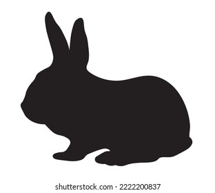 black and white shadow, rabbit silhouette