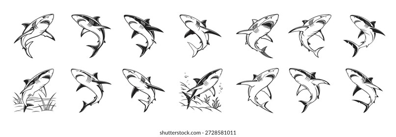 Ilustraciones de tiburón blanco negro Dibujado a mano Océano feroz