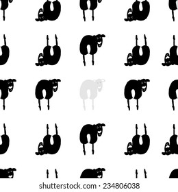 black and white sheep