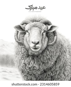 Black and white Sheep in farm - Arabic translation: Eid Adha Mubarak