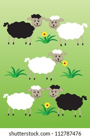 Black and white sheep on a meadow