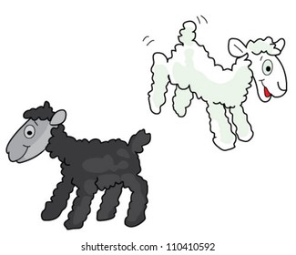 Black and white sheep over white background