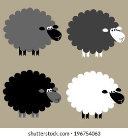 black & white sheep set