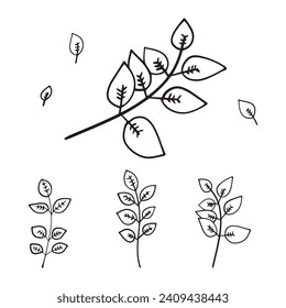 Hoja en blanco y negro. Ilustración vectorial resaltada en un fondo blanco. Por la naturaleza, el medio ambiente y el diseño. Plantas dibujadas a mano, marco para una postal.