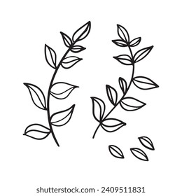 Hoja en blanco y negro. Ilustración vectorial resaltada en un fondo blanco. Por la naturaleza, el medio ambiente y el diseño. Plantas dibujadas a mano, marco para una postal.