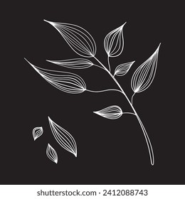 Black and white sheet. Vector illustration highlighted on a white background. For nature, eco and design. Hand-drawn plants, lines for postcards.