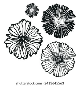 Black and white sheet. Vector illustration highlighted on a white background. For nature, eco and design. Hand-drawn plants, a frame for a postcard.