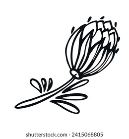 Black and white sheet. Vector illustration highlighted on a white background. For nature, eco and design. Hand-drawn plants, a frame for a postcard.