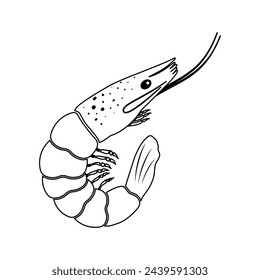 black and white shrimp icon, prawn line icon isolated on white background