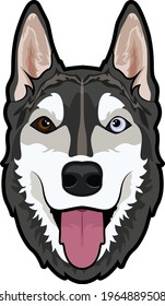 Black and white Siberian Husky blue eyes dog vector 