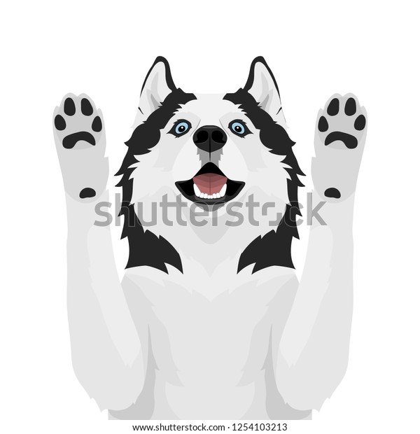 白黒のシベリアン ハスキーと青い目 白い背景にハスキー犬が手を上げます ベクターイラスト のベクター画像素材 ロイヤリティフリー