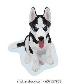 Black and white Siberian husky dog with blue eyes and sticking out tongue. Hand drawn portrait of cute husky puppy. Vector illustration