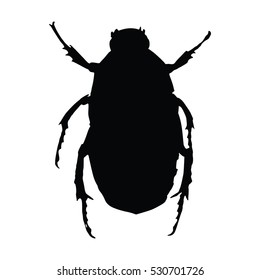 A black and white silhouette of a beetle