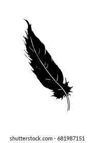 black and white silhouette of bird feather
