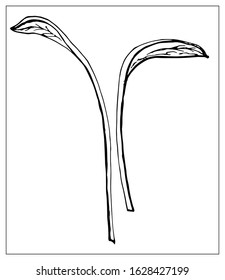 Black and white silhouette of a blade of grass. Isolated drawing of herbs on a white background. Contour element for design in a floral style. Vector stock illustration