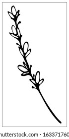Black and white silhouette of a blade of grass. Isolated drawing of herbs on a white background. Contour element for design in a floral style. Vector stock illustration