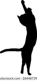 Black and white silhouette of cat on white background.