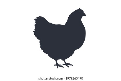 Black white silhouette of chicken or hen. Template for meat business, meat shop, restaurant menu. Vector Illustration