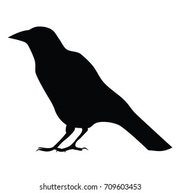 A black and white silhouette of a crow