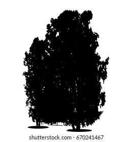 Black and White Silhouette of Deciduous Tree, whose branches develop in the wind. Vector Illustration. EPS10
