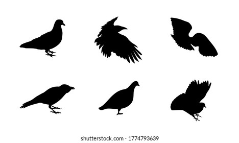 Black and white silhouette dove crow isolated. Vector Illustration. EPS10