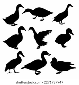Black and white silhouette of Duck Bundle icon	