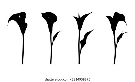 Black and white silhouette of five calla lilies arranged in a row, showcasing their distinctive shape and graceful curves against a plain background.