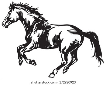 Black and white silhouette of horse.