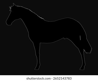A black and white silhouette of a horse stands boldly against a dark background, showcasing its elegant profile. The minimalist composition highlights the animal's powerful form and graceful posture.