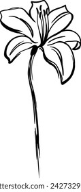 Black and white silhouette Illustration. Abstract hand-drawn flower in minimalist style.
