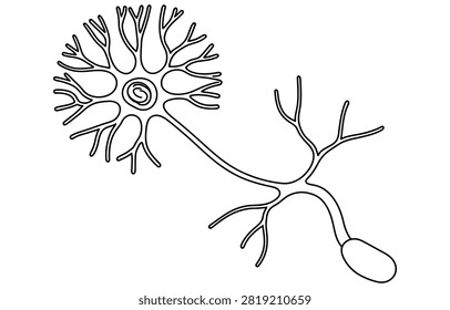 Black and white silhouette illustration of a single human nerve cell neuron structure Vector, illustration
