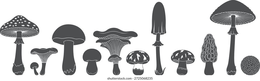 Una Imagen de silueta en blanco y negro con una colección diversa de especies de hongos dispuestas en una fila Horizontal