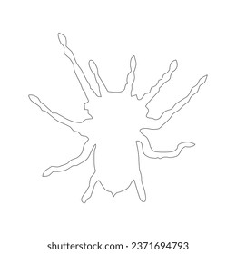 Black and white silhouette of a large spider on a white background - vector