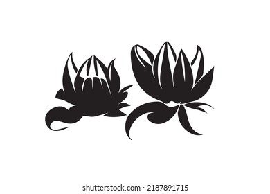 Black and White Silhouette of Lotus Flowers on White Background