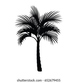 A black and white silhouette of a palm tree