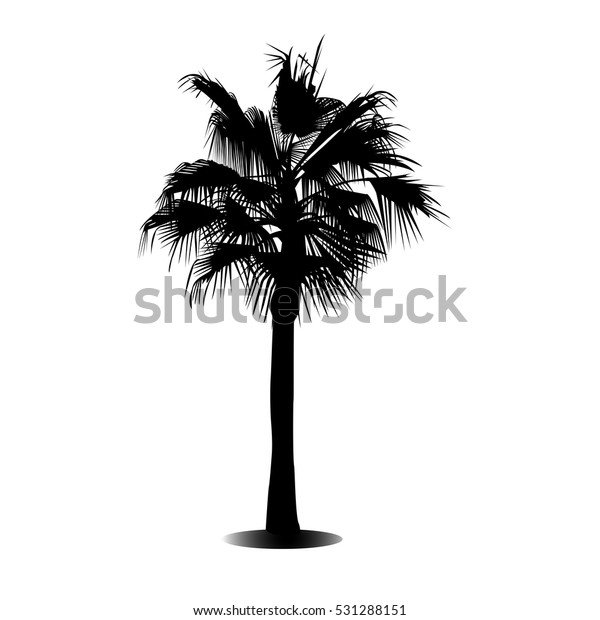 Black White Silhouette Palm Tree Stock Vector (Royalty Free) 531288151