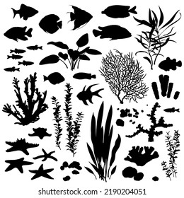 Black and white silhouette of a sea coral reef. Oceanic animal set. Illustration of underwater life. 