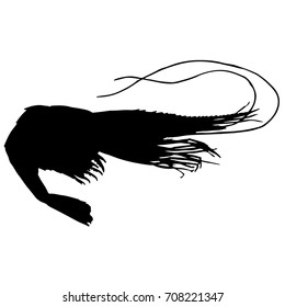 black and white silhouette of shrimp