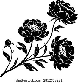 Black and white silhouette of three peony flowers and a bud on a branch floral