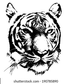 black and white silhouette of a tiger's face