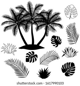 Black and white silhouette of tropical forest.  Contor. Isolated set. Vector illustration. Palm, fern, coco, monstera, foliage, plant, jungle.
