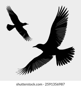 A black and white silhouette of two birds flying in the sky with spread wings and detailed feather patterns