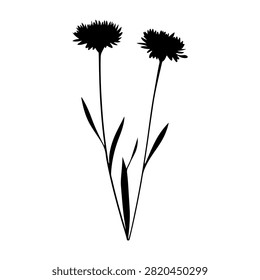 Black and white silhouette of two dandelion flowers with elongated stems and leaves, isolated on a white background for botanical and floral design use.