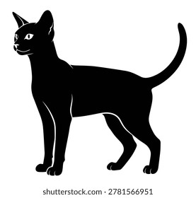 Black and white silhouette vector of a Abyssinian