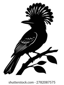 black and white silhouette vector of a amazonian royal flycatcher