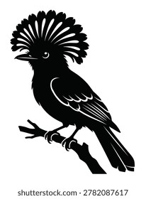 black and white silhouette vector of a amazonian royal flycatcher bird