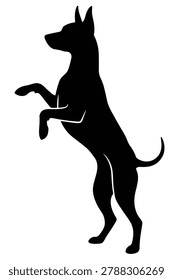 Black and white silhouette vector of a American Hairless Terrier