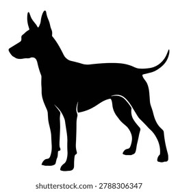 Black and white silhouette vector of a American Hairless Terrier
