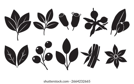 Conjunto de Vector de silueta en blanco y negro de hierbas y especias indias