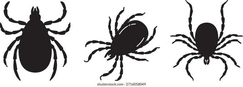 Conjunto de Vector de silueta blanco y negro de insecto de garrapata sobre fondo blanco